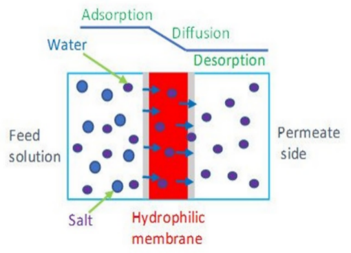 Pervaporation membrane for desalination